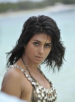 Shraddha Das Spicy Gallery